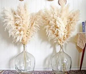 New Listing10pcs 40'' Pampas Grass Tall Decor - Pompas Floral, Tall Pampas Grass for