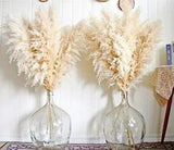 New Listing10pcs 40'' Pampas Grass Tall Decor - Pompas Floral, Tall Pampas Grass for