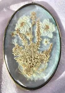 Vintage Pressed Dried Flower Window Hanging Wall Art MCM