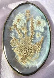 Vintage Pressed Dried Flower Window Hanging Wall Art MCM