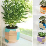 Colorful Geometric Planter, 6inch Pot, Indoor Wooden Succulent Pot, Natural Office Plant Decor, Plant Lover Gift, Fun Student Room Decor