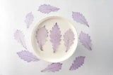 M&T 2007 12PCS real Pressed dry dyed leaves, Floral supply for art craft FSS33