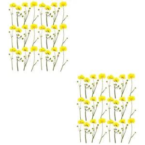 48 Pcs Buttercup Branches Real Pressed Flowers Jewelry Accessories Manual Candle