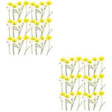 48 Pcs Buttercup Branches Real Pressed Flowers Jewelry Accessories Manual Candle