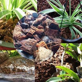 Pure Organic Coconut Husk Chips | Fiber Unprocessed For Orchid,Anthurium,And Kill Fish |Planting | Anthurium | Planting | Orchid | Rose