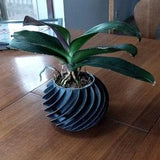 Orchid Spiral planter with built in water basin