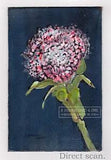 Variegated Carnation  2022 C Peterson * Original Oil Painting * Colorful Flower