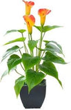 Artificial Flower Plants Calla Lily Faux Small Potted Plant with Black Pot Fake