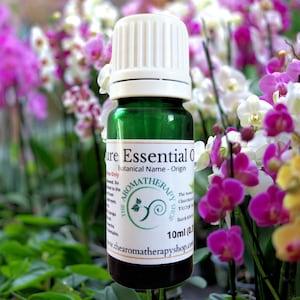 Orchid Essential Oil / Origin: South Asia