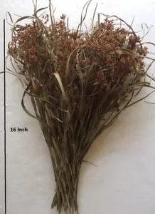 35 Pcs Dried Grass Reed Flower Natural Bunch Bouquet Vase Filler Home Decor New