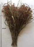 35 Pcs Dried Grass Reed Flower Natural Bunch Bouquet Vase Filler Home Decor New