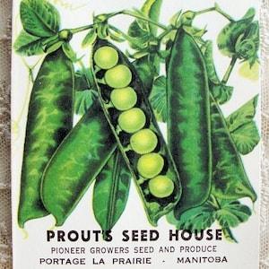 ANTIQUE Seed Packet,Colorful Vegetables,Suitable To Frame,Cottage Kitchen,Farmhouse Decor,Crafts Weddings ,Collectible Gardening