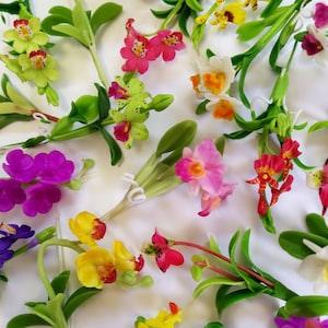 Lot 10 Dollhouse Miniature Colorful Artificial Realistic Blank Bouquet Orchid Mixed Random Fairy Garden Ornament Tree Flower 1:12 Scale