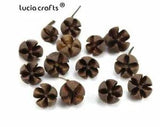 Lucia Crafts Random Size Dried Flowers Nutshell For Crafts And Home Accessories