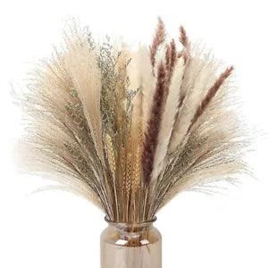 70 Dried Pampas Grass Decor- 5 Color Pompous Pampas Grass Plants for Flower S3K9