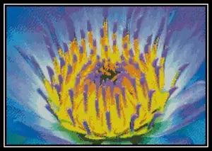 Electric Water Lily - Cross Stitch Chart/Pattern/Design/XStitch