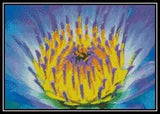 Electric Water Lily - Cross Stitch Chart/Pattern/Design/XStitch