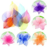 Scrapbooking Skeleton Leaves Embellishments Dried Flower Bookmark Crafts Making