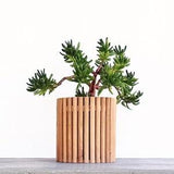 Ribbed Wooden Planter. Pot made of natural oak wood. Botanical Decor.