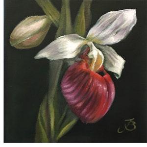 Orchid Painting Floral Original Art Flower Wall Art Small Oil Painting On Canvas 8 by 8 Inches by ArtByBrencane