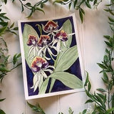 Watercolour Painting of Black Orchid Flowers, Original Hand Painted Botanical Art, National Flowers Series, Belize, Orchid Flower Painting