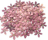 Pressed Flowers Natural by Colors Purple Handmade Floral Products New