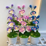 Handmade Crochet Wallflowers Potted Plant-Crochet Flower Decoration -Knitted Butterfly Orchid Pot With Light-Crochet Moth Orchid