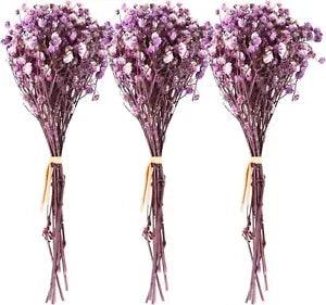 3 Bunches Dried Flowers Babies Breath Flowers Natural Real Gypsophila