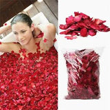 10/25/50g New Romantic Natural Dried Real Rose Petals for Spa Bathing Supply!!