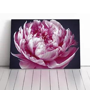 Astonishing Peony Flower Canvas Print Wall Art Framed Picture Home Decor Large