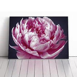 Astonishing Peony Flower Canvas Print Wall Art Framed Picture Home Decor Large