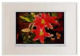 Wild Flowers Plants 013176 Pink Spotted Lilies Watercolour Picture Frame