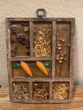 Vintage 1970??s Gamut Designs Framed Seet, bean, dried flower Art Decor