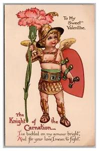 Postcard Valentine's Day Cupid Knight Of The Carnation Flower Ernest Nister O19