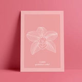 Cymbidium Orchid Flower Tropical Minimal Neutral Artwork Printable Wall Organic Poster Line Flower Art