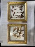 NEW LISTINGPair Of Vermont Botanical Frames Dried Flowers