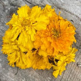 Giant Bouquet Sweet scented frilly marigold 100 SEEDS cut flower bouquet florist from Urban Food forest/garden
