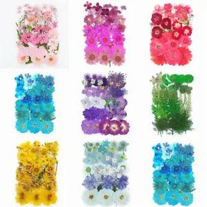 Dried Flowers Pressed Scrapbook Bookmark Card Making DIY Art Craft Decor Supply