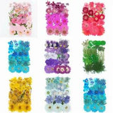 Dried Flowers Pressed Scrapbook Bookmark Card Making DIY Art Craft Decor Supply