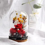 Eternal Red Rose Glass Dome Valentine's Day Birthday Gift Girlfriend Home Decor