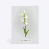 Fen Orchid Card. A6. Kraft Envelope. Norfolk Flower Card. Botanical Card, Floral Mothers Day Card. Plant Birthday Card. Spring Flower.