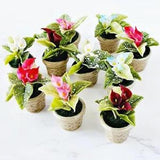 Handmade Calla Lily Flower Pot Miniatures Fairy Garden Decor 5Pc Set