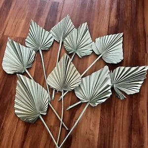 set of 9, Green Palm Leaf, Dried,