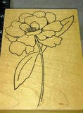 Poppy, peonies, flower, big, parked on rubber,209,rubber