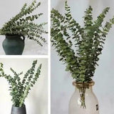 10pcs Air-dried Flower Eucalyptus Stems Branches Leaves Home Bouquet