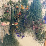 Dried flowers and arrangements.