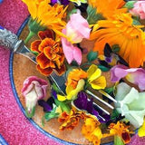 EDIBLE FLOWER MIX Seeds - 16 Types: Marigold Daisy Viola Safflower Alyssum Hyssop Hollyhock Cornflower Sweet William Nasturtium Basil + More