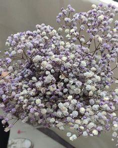 Natural Preserved Baby's Breath Bunch Straw Colored - Etsy Macedonia Flower Delivery