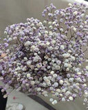 Natural Preserved Baby's Breath Bunch Straw Colored - Etsy Macedonia Flower Delivery