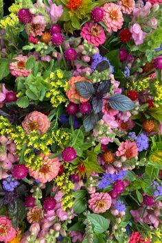 Here are the Top 10 Flowers to Grow Your First Season! - Lynsey Taulbee Flower Delivery